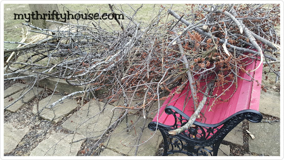 Twig Flower Vase branches