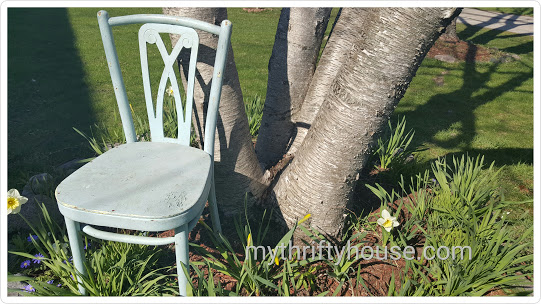 Chair Planter