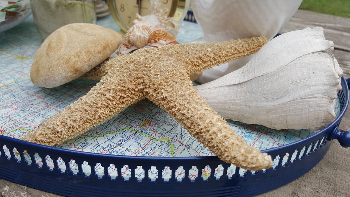 nautical map tray sea shells