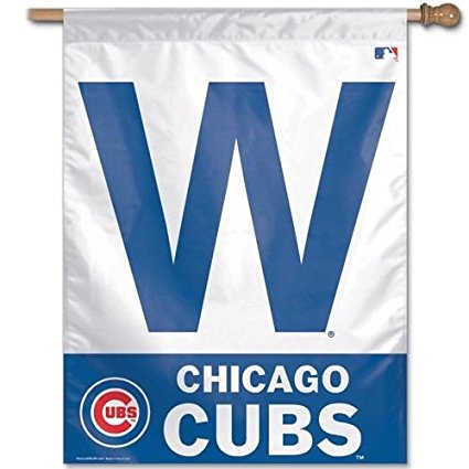 chicago-cubs-fan-w-flag
