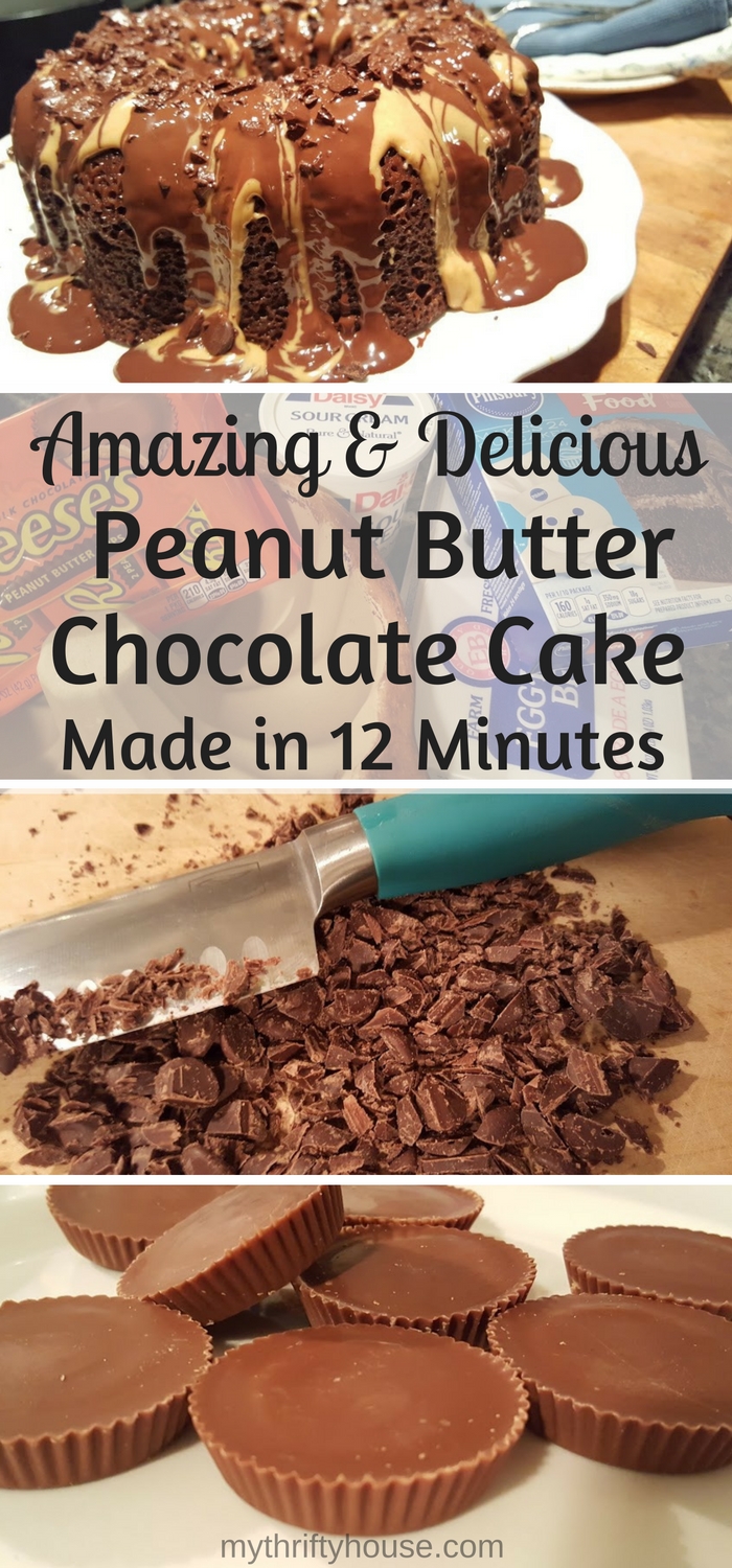 12-minute-chocolate-peanut-butter-bundt-cake-made-in-the-microwave