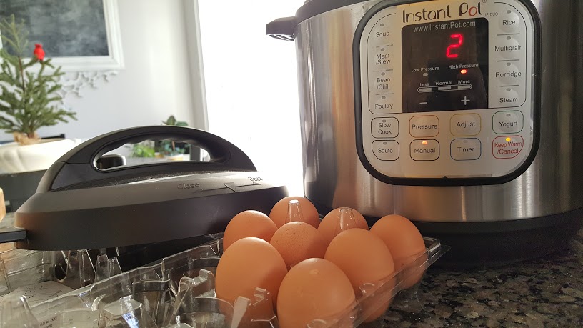 Do your research and read up on the Instant Pot Pros and Cons.