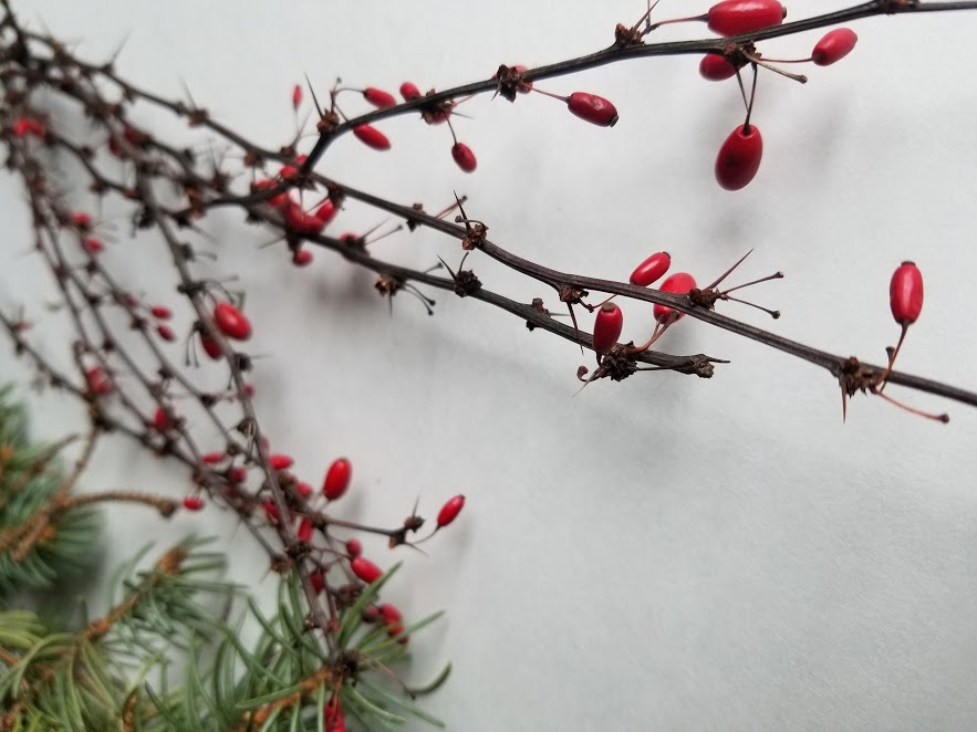 decorative ice bowl berries and branches