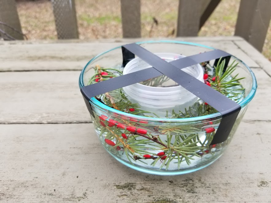 freezing decorative ice bowl outside in the cold