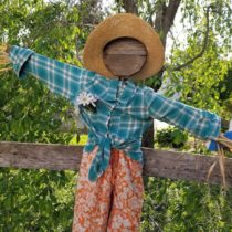 Cute garden scarecrow after pic