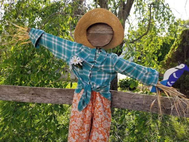Cute garden scarecrow after pic