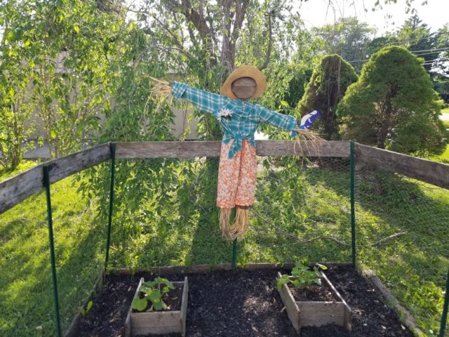 Cute garden scarecrow in the garden